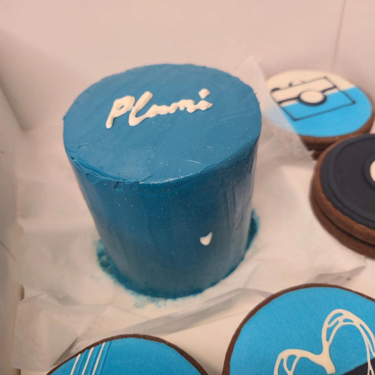 Bento Cake com Branding - Plumi - Bolos de aniversário no Porto | Bento Cakes, Cake Design, Bolachas Decoradas | Porto | Sahri Dessert Art