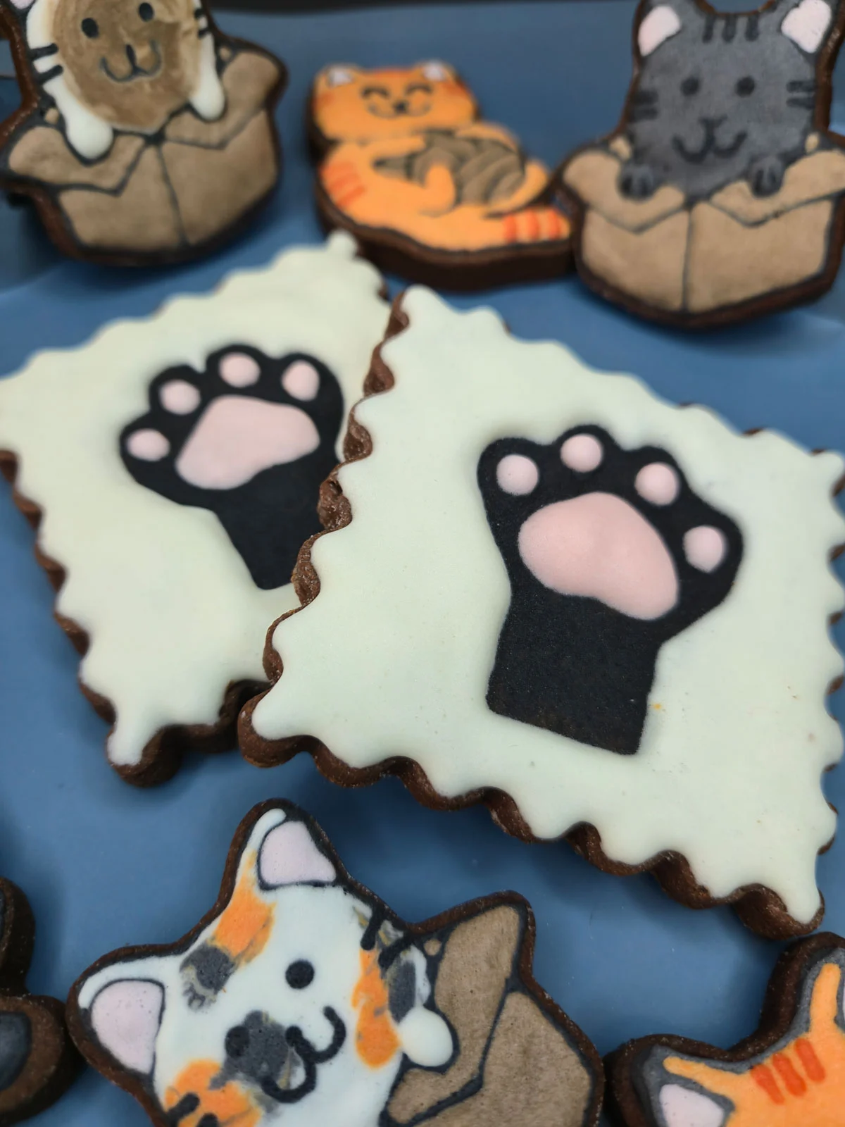 Bolachas personalizadas de manteiga com cacau decoradas com gatos. - Bolos de aniversário no Porto | Bento Cakes, Cake Design, Bolachas e Cupcakes | Porto | Sahri Dessert Art