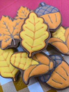 Variedade de bolachas de manteiga com cacau decoradas com glacê real temáticas de outono. - Bolos de aniversário no Porto | Bento Cakes, Cake Design, Bolachas e Cupcakes | Porto | Sahri Dessert Art